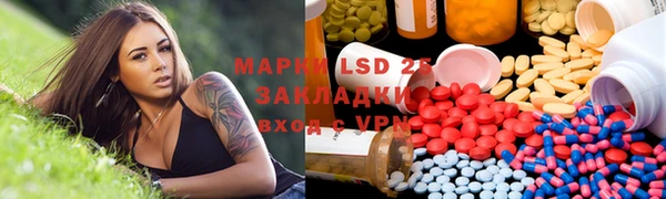 apvp Алзамай