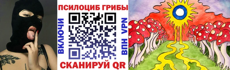 дарк нет клад  Ленинск  Псилоцибиновые грибы ЛСД 
